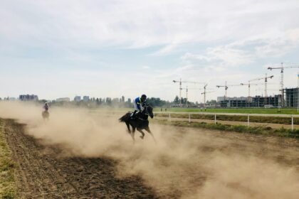 a group of people riding on the backs of horses